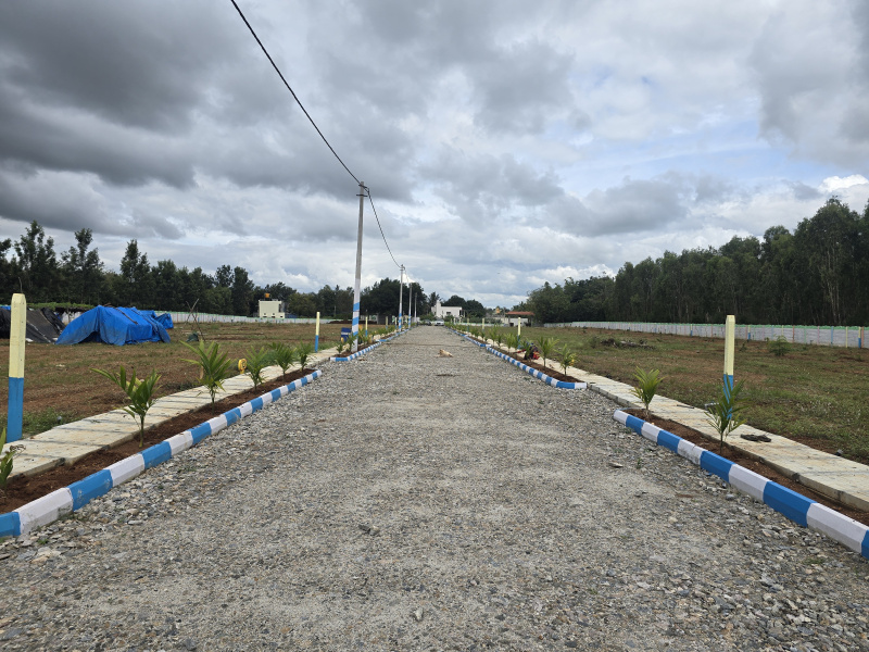 FARM LAND,CLEAR DOCUMENTS, READY TO REGISTER