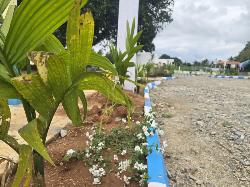 FARM LAND,CLEAR DOCUMENTS, READY TO REGISTER