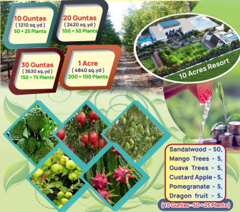Property for sale in Gulbarga, Kalaburagi