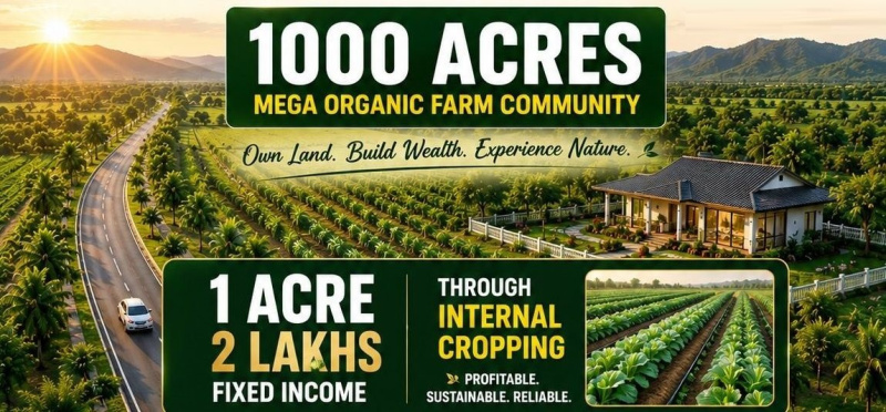 10 Guntha Residential Plot for Sale in Chincholi, Gulbarga