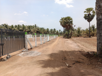 Property for sale in Kinathukadavu, Coimbatore