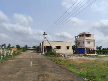 2831 Sq.ft. Residential Plot for Sale in Othakalmandapam, Coimbatore