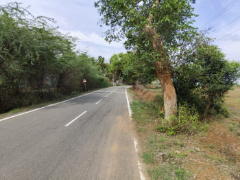7.5 CENTS INDUSTRIAL LAND FOR SALE NEAR NH ROAD IN KINATHUKADAVU