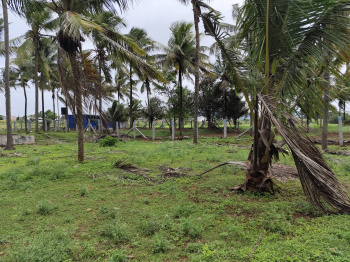 Property for sale in Kinathukadavu, Coimbatore