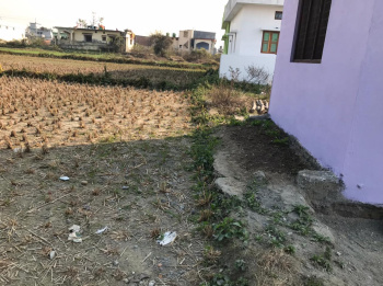 5 Biswa Residential Plot for Sale in Paonta Sahib, Sirmaur
