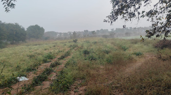 Agriculture land for sale in Bommalaramaram