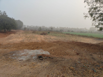 Agriculture Land for Sale in Bommalaramaram