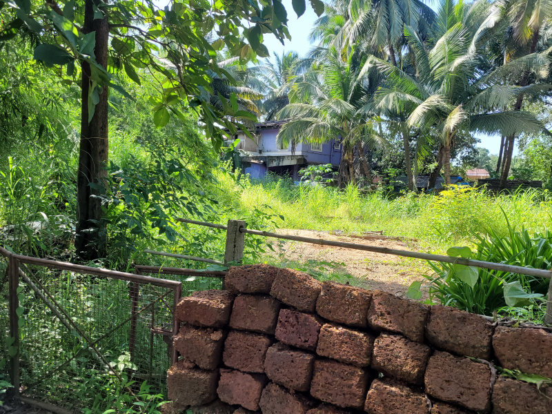 500 Sq. Meter Residential Plot For Sale In Varca, Goa