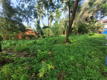 785 Sq. Meter Residential Plot for Sale in Betalbatim, South Goa, Goa