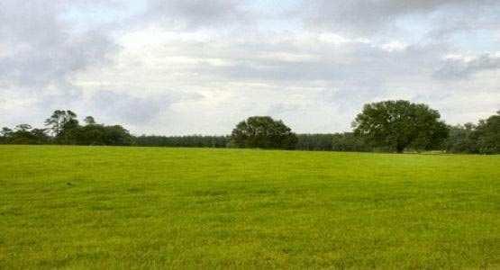 Industrial Plot For Sale In MIDC, Nerul, Navi Mumbai