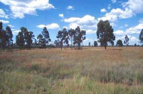 Industrial Plot For Sale In Mahape, Navi Mumbai