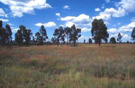 Industrial Land For Sale In TTC Industrial Area