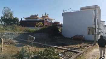 Residential Plot for Sale in Kulhan, Dehradun, Dehradun (119 Sq. Yards)