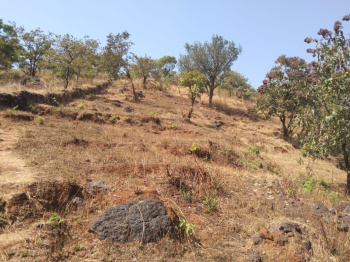 Property for sale in Patan, Satara