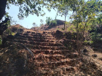 Property for sale in Patan, Satara