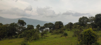 Property for sale in Jaoli, Satara