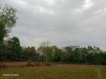 Property for sale in Beliatore, Bankura