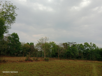 Property for sale in Beliatore, Bankura