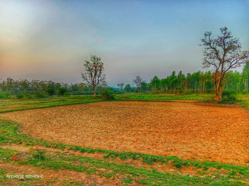 Property for sale in Simlapal, Bankura