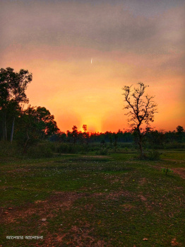 Property for sale in Simlapal, Bankura