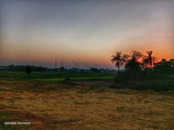 50 Bigha Agricultural/Farm Land for Sale in Dhabani, Bankura