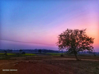 Property for sale in Dhabani, Bankura