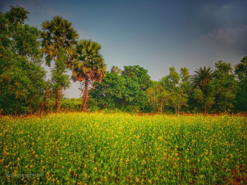 Property for sale in Dhabani, Bankura
