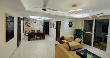 3 BHK Flats & Apartments For Rent In SAS Nagar, Mohali (1650 Sq.ft.)