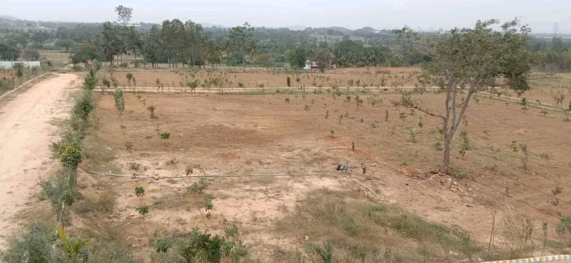 2300 Sq.ft. Agricultural/Farm Land For Sale In Kelamangalam Road, Hosur