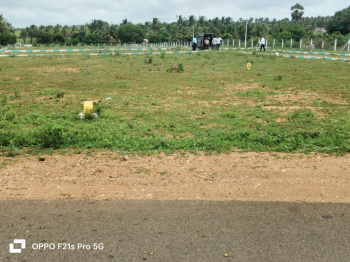 10890 Sq.ft. Agricultural/Farm Land for Sale in Kinathukadavu, Coimbatore