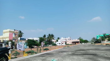 1200 Sq.ft. Residential Plot for Sale in Ramalinga Nagar, Tiruchirappalli