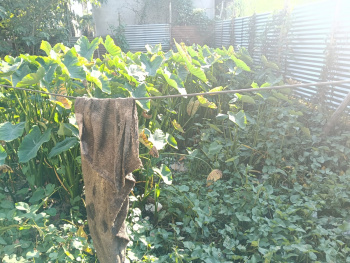 Residential Plot For Sale In Hatigaon, Guwahati (.8 Katha)