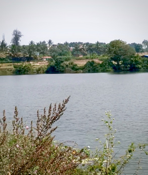 Property for sale in BM Road, Hassan