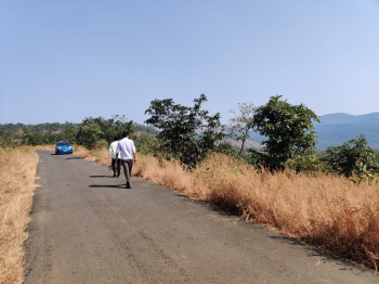 30 Acre Agricultural/Farm Land for Sale in Mhasla, Raigad