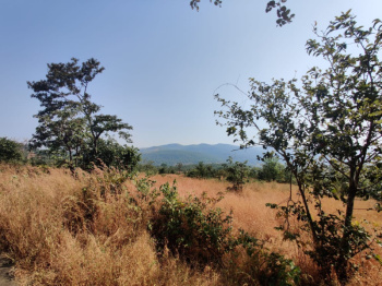 15 Acre Agricultural/Farm Land for Sale in Shrivardhan, Raigad