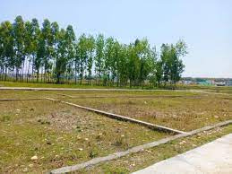 127.18 Sq. Yards Residential Plot for Sale in Sector 113, Mohali (112.18 Sq. Yards)