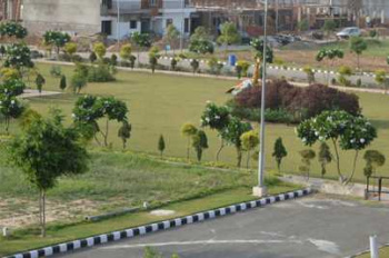 150 Sq. Yards Residential Plot for Sale in Zirakpur Road, Mohali