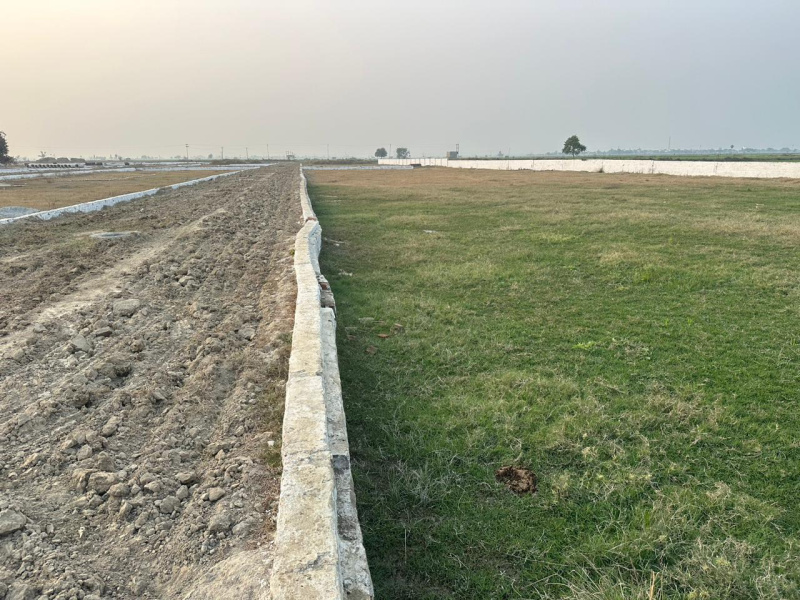 1000 Sq.ft. Industrial Land / Plot For Sale In Saykha Industrial Zone, Bharuch