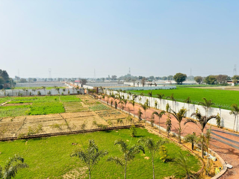 1900 Sq. Yards Agricultural/Farm Land For Sale In Sultanpur, Gurgaon