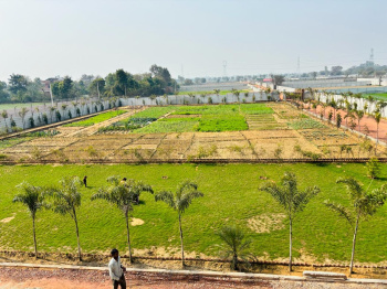 3400 Sq. Yards Agricultural/Farm Land for Sale in Sultanpur, Gurgaon