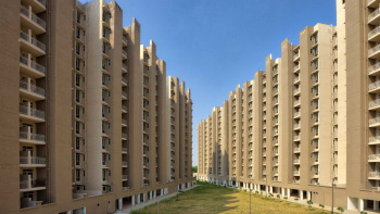 2 BHK Flats & Apartments for Sale in Sector 99A, Gurgaon, Gurgaon (445 Sq.ft.)