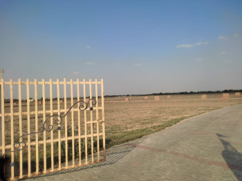 150 Sq. Yards Residential Plot for Sale in Govardhan, Mathura