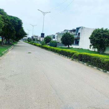 2400 Sq.ft. Residential Plot for Sale in Sector 118, Mohali