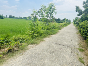 2 Acre Agricultural/Farm Land for Sale in Bajpur, Udham Singh Nagar