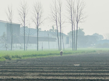 Property for sale in Bajpur, Udham Singh Nagar