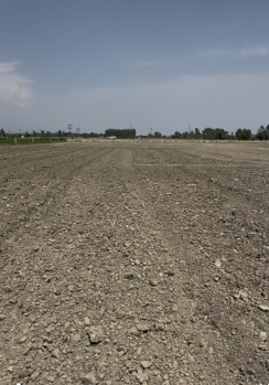 Property for sale in Kashipur, Udham Singh Nagar