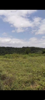 4.82 Acre Agricultural/Farm Land For Sale In Chennathur, Hosur
