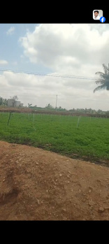 Agricultural/Farm Land For Sale In Shoolagiri, Hosur (2.25 Acre)
