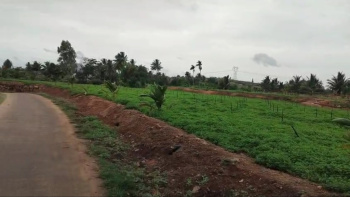 Property for sale in Shoolagiri, Hosur