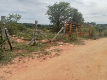 Agricultural/Farm Land for Sale in Shoolagiri, Hosur (2.50 Acre)
